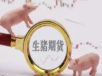 生猪期货摸着石头过河(生猪期货走时)_期货直播喊单_第1张_耀严财经 生猪期货摸着石头过河(生猪期货走时)_https://yy.wpmee.com_期货直播喊单_第1张