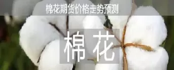 期货棉花波动一点(期货棉花波动大吗)_外盘直播喊单_第1张_耀严财经 期货棉花波动一点(期货棉花波动大吗)_https://yy.wpmee.com_外盘直播喊单_第1张